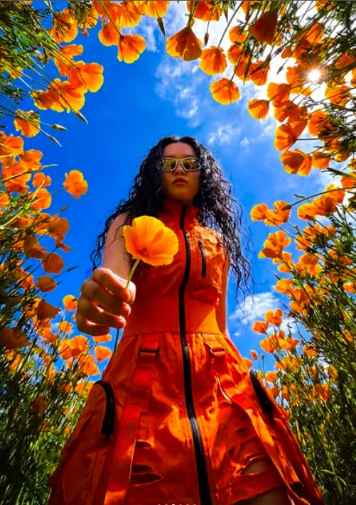 Floral Skyframe - Gemini & chatgpt Image AI Prompt