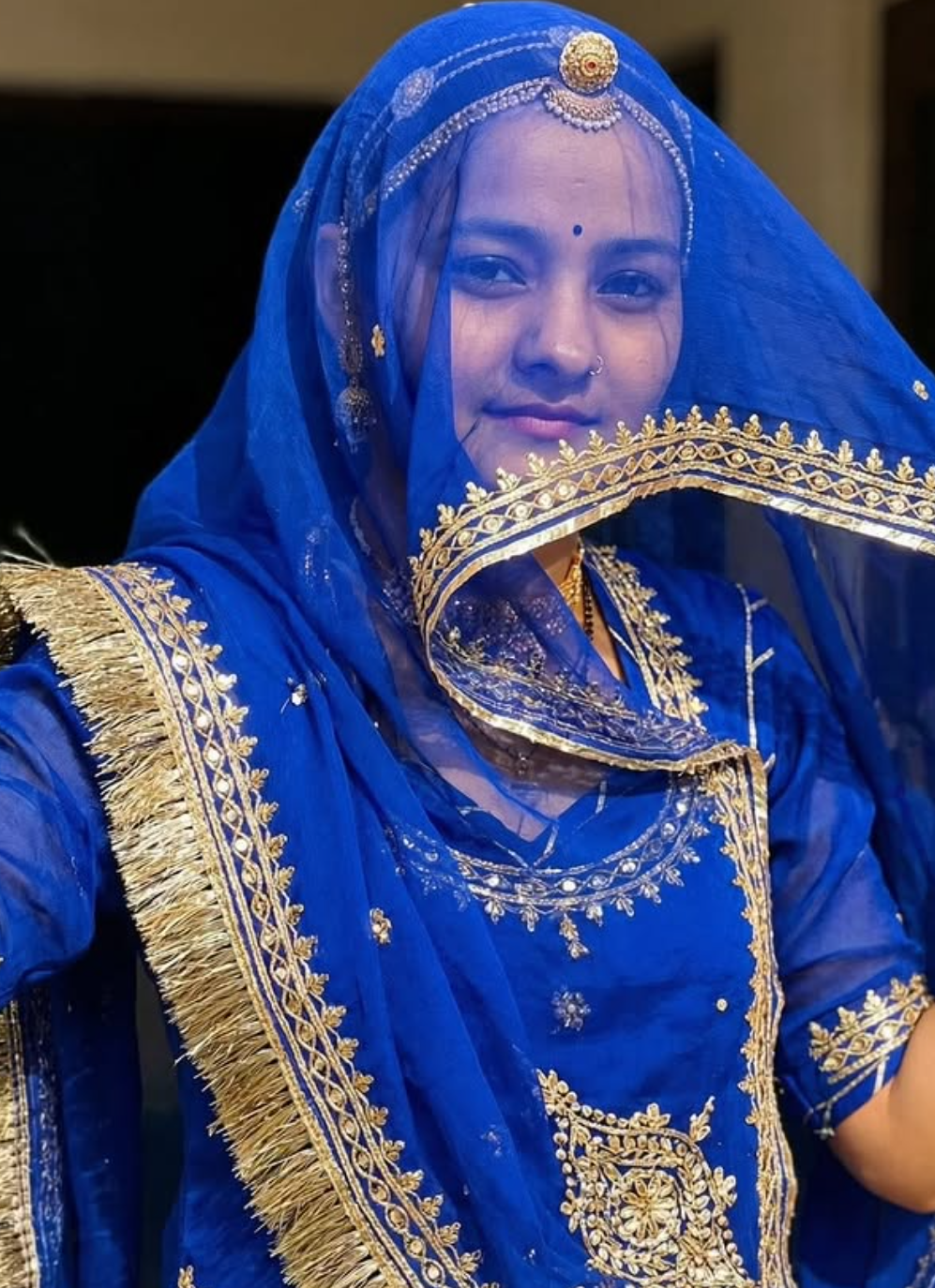 Veiled in Rajputi Royalty - AI Prompt